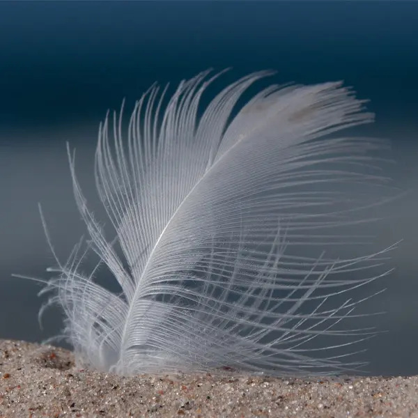 Ein Licht für Verstorben virtuell anzünden