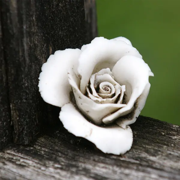 Wir lassen Sie nicht allein, Bestattung Pius